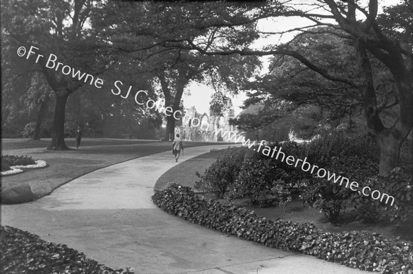 ST MARY'S ABBEY : THE GARDENS (DR COLLINS SECT)